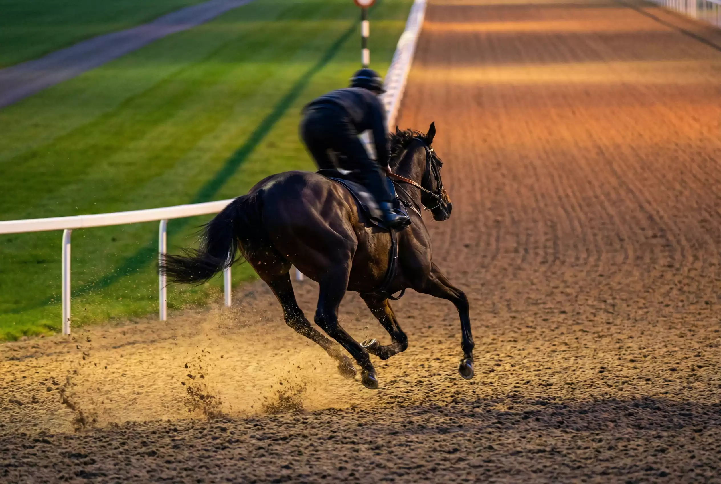 Horse racing on an all-weather synthetic track under floodlights at Wolverhampton