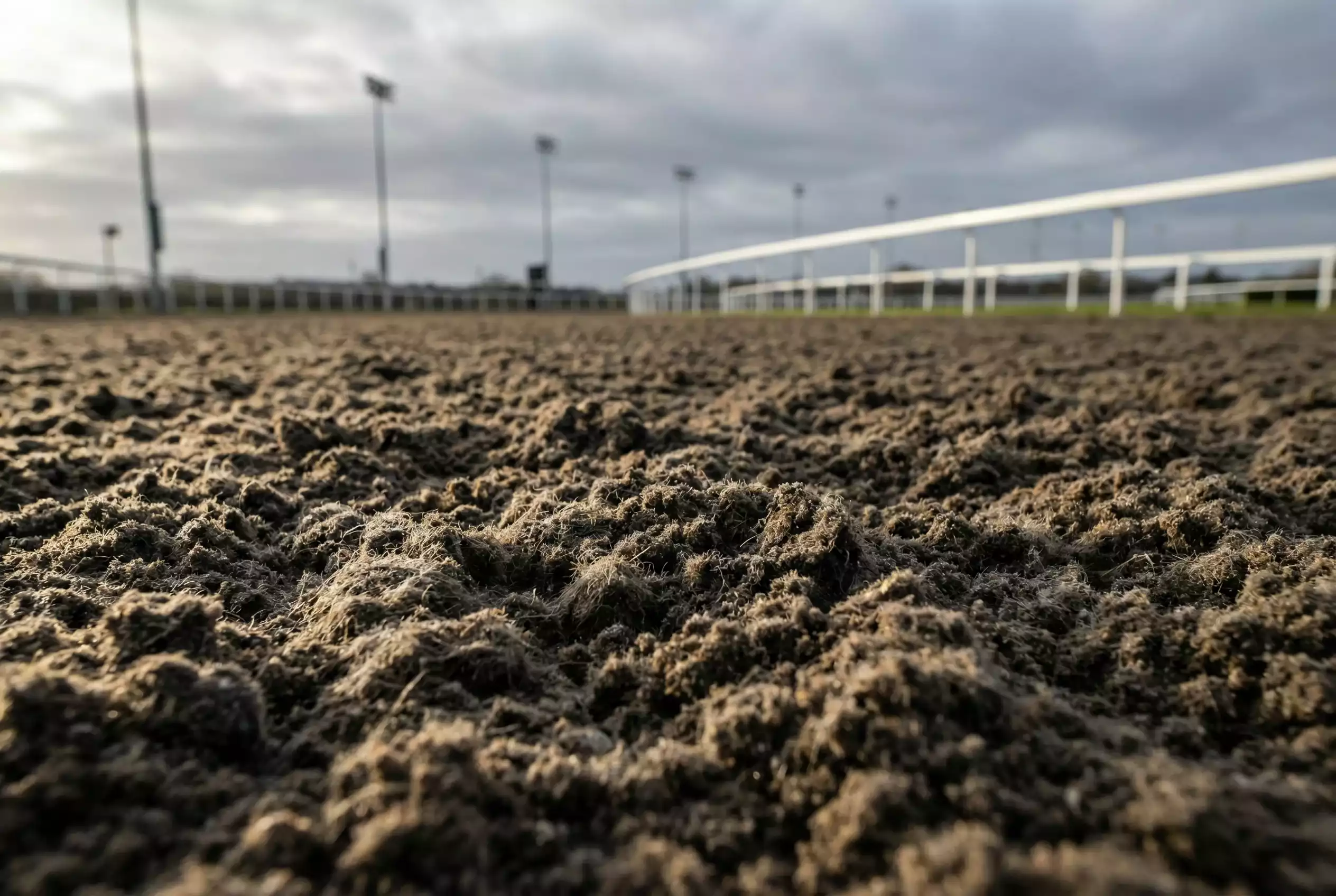 Close-up of the Tapeta synthetic racing surface at Wolverhampton racecourse