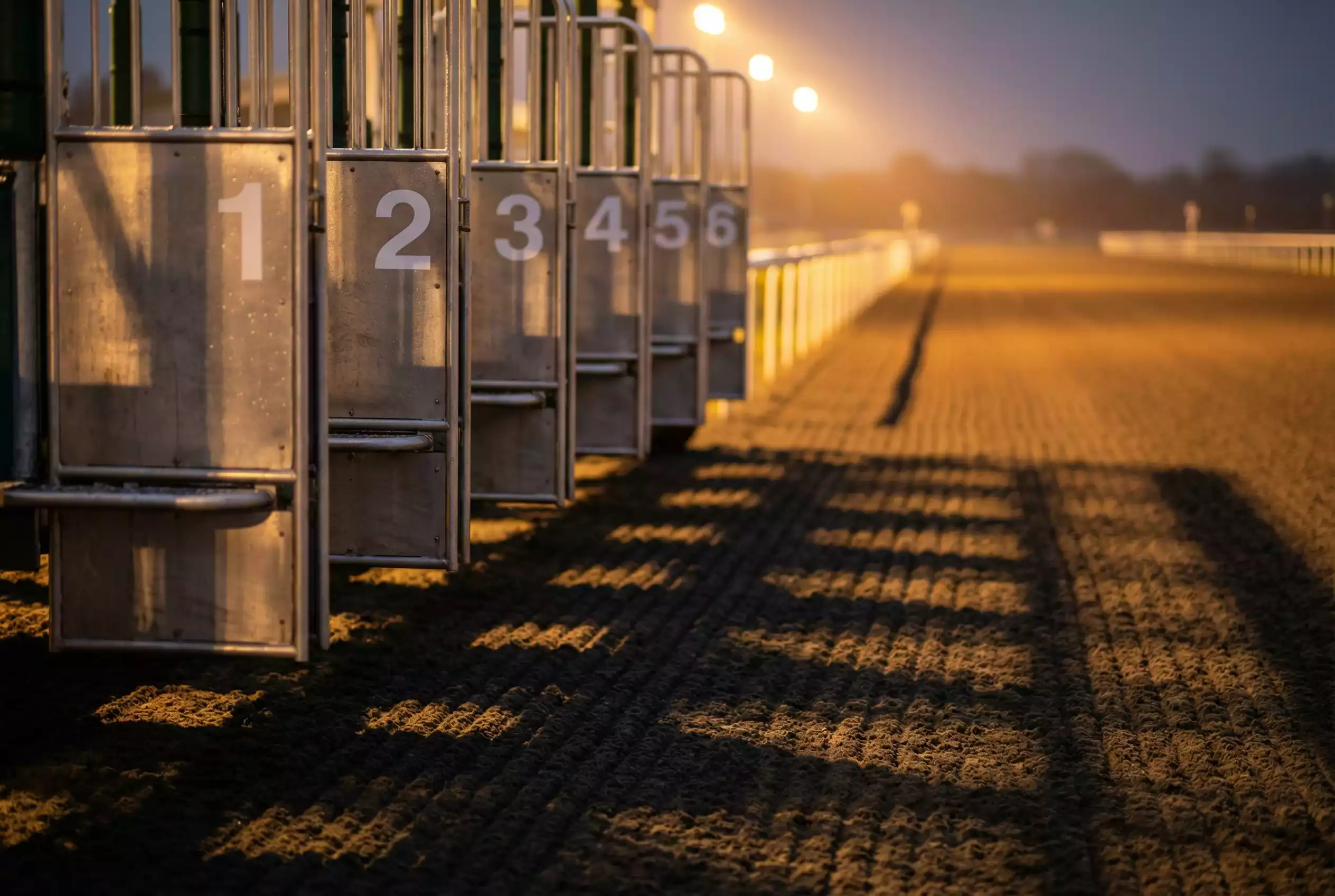 Starting stalls at Wolverhampton racecourse for a five-furlong sprint race