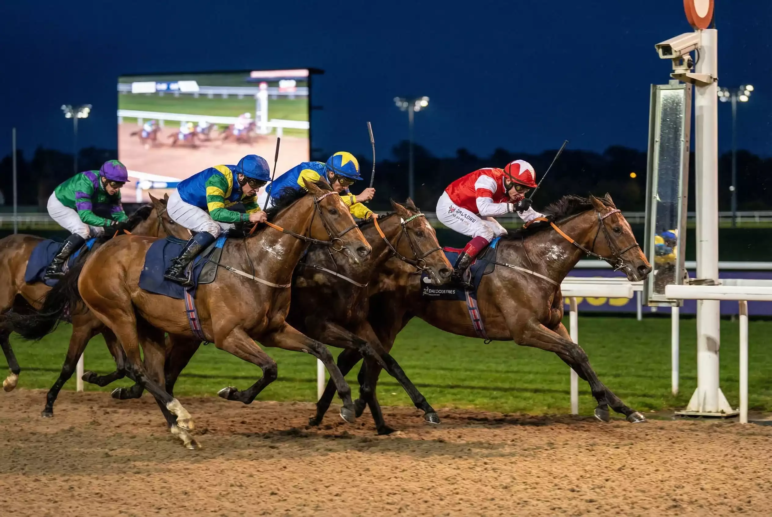 Tight finish between horses at Wolverhampton racecourse with a packed field