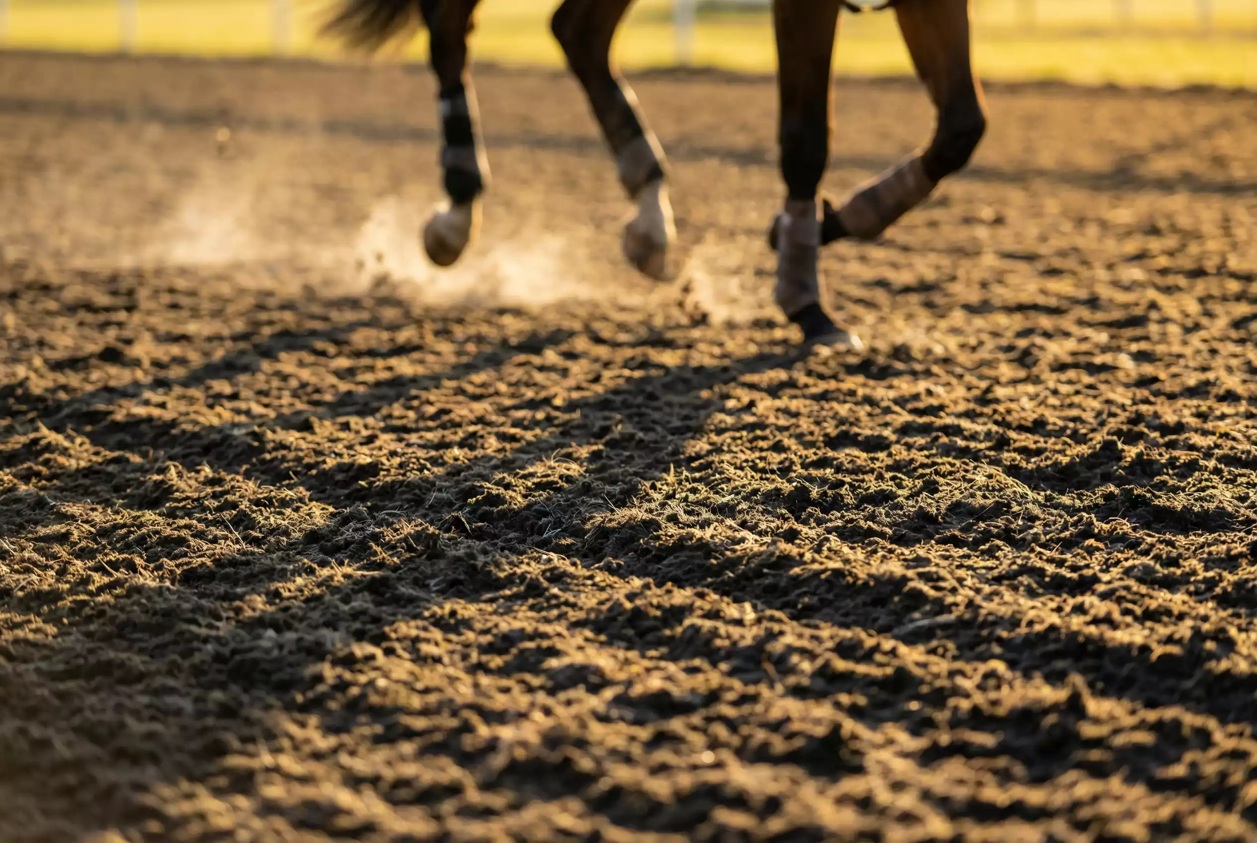 Close-up of the Tapeta synthetic racing surface at Wolverhampton Dunstall Park racecourse