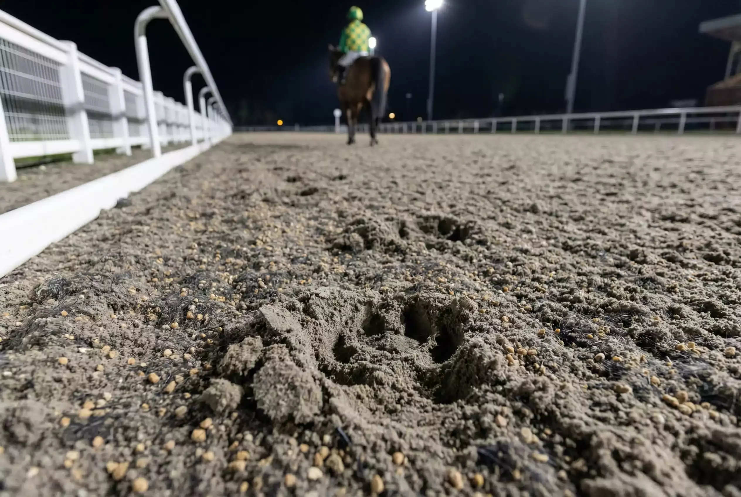 Close-up of Tapeta all-weather racing surface with horse hoofprints at Wolverhampton